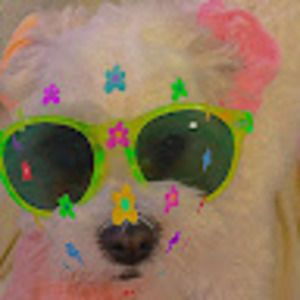 Meet your Posher, Casandra